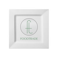Тарелка CAMEO SQUARE RIM 18,5Х18,5CM H2СМ 710-71